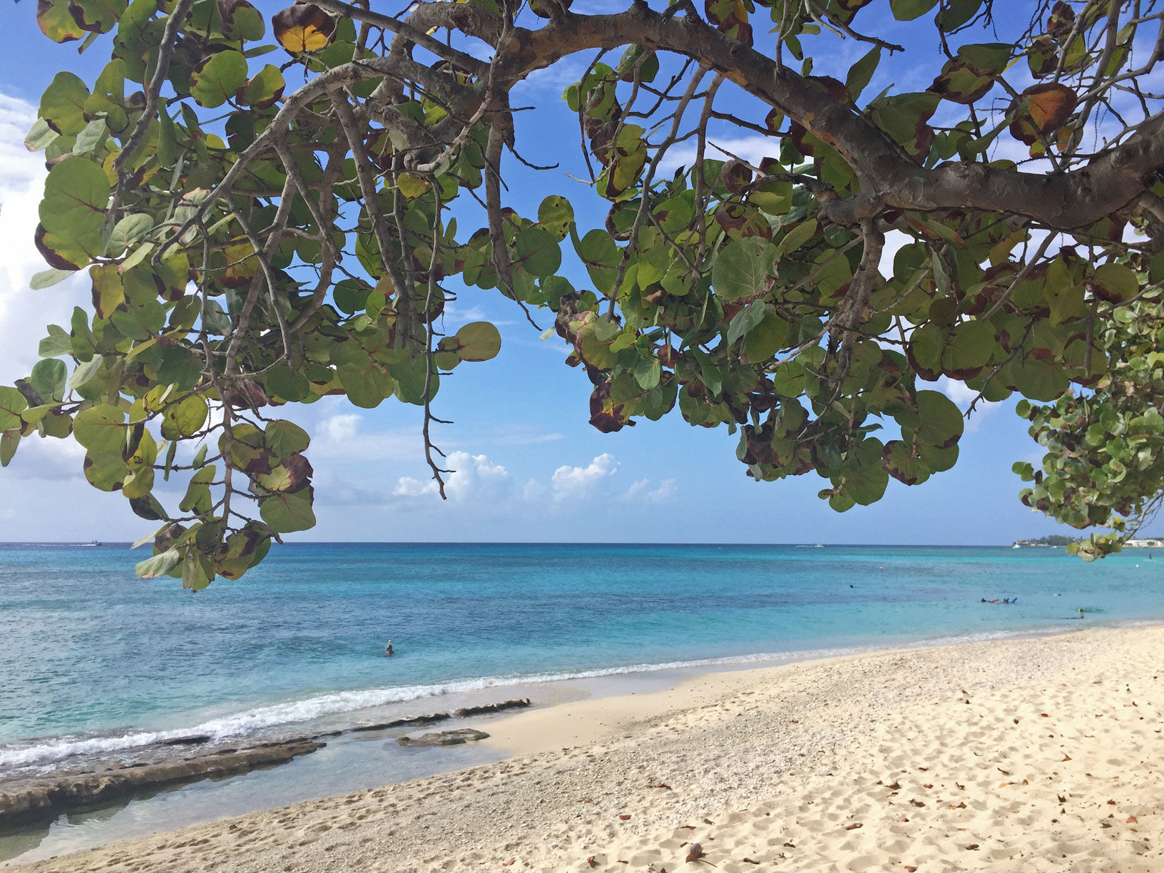 Cemetery-Beach-(C)-Michelle-Bazis.jpg